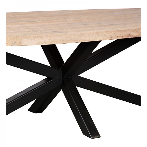 Charrell - DINING TABLE DORIN - 260 x 120 H 77 CM (image 4)